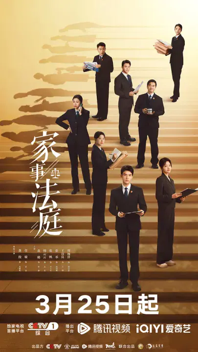 【国产剧】家事法庭