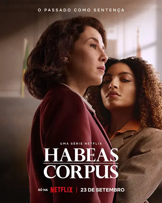 【海外剧】人身保护令